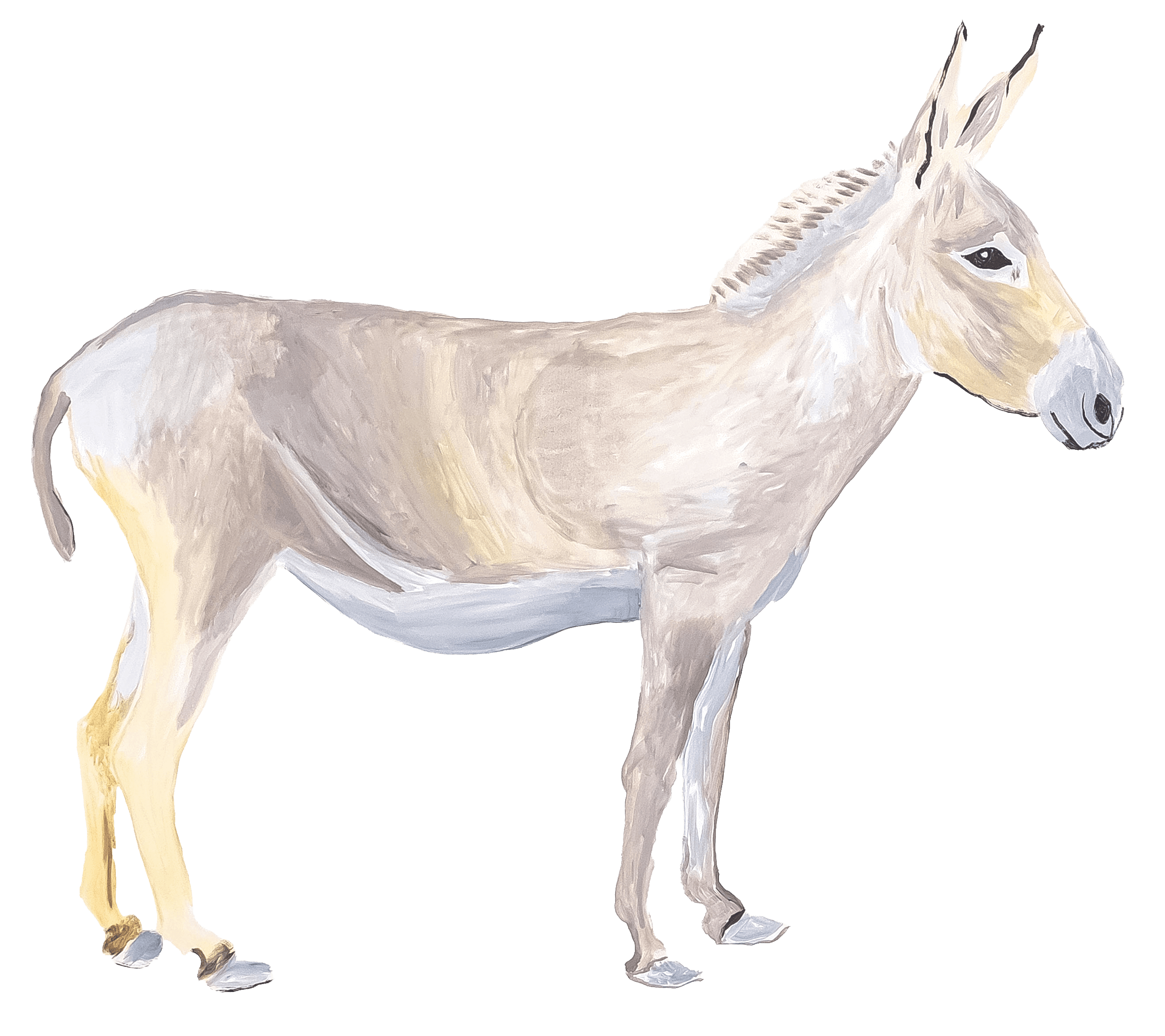 Goldstei